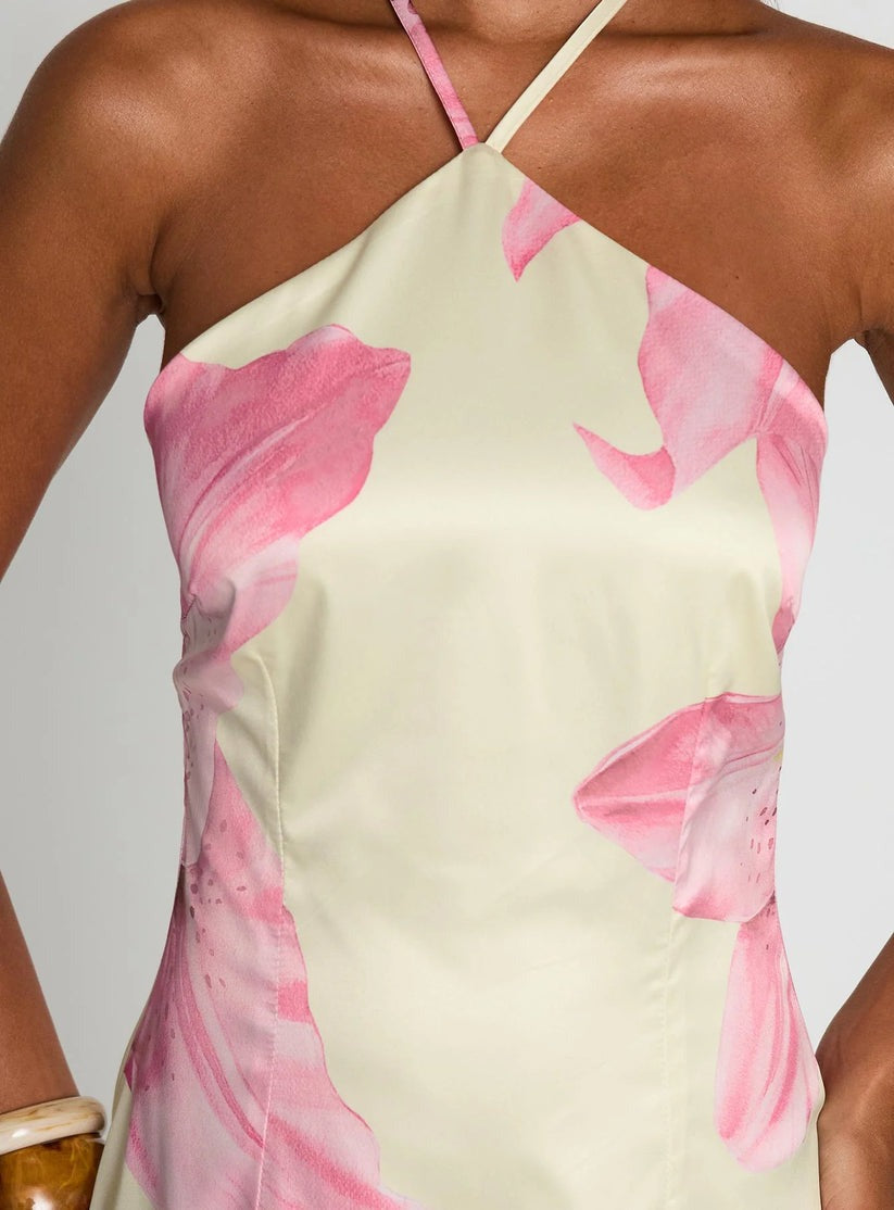 Gardens Of Eden Mini Dress